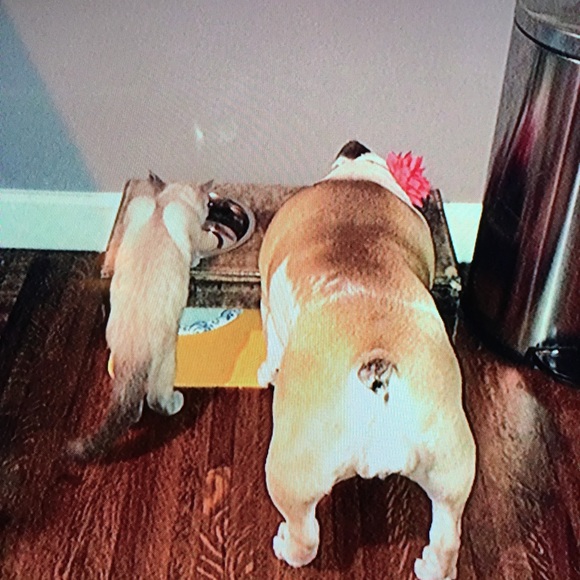 Your seller, Brittany - Picture 14 of 15